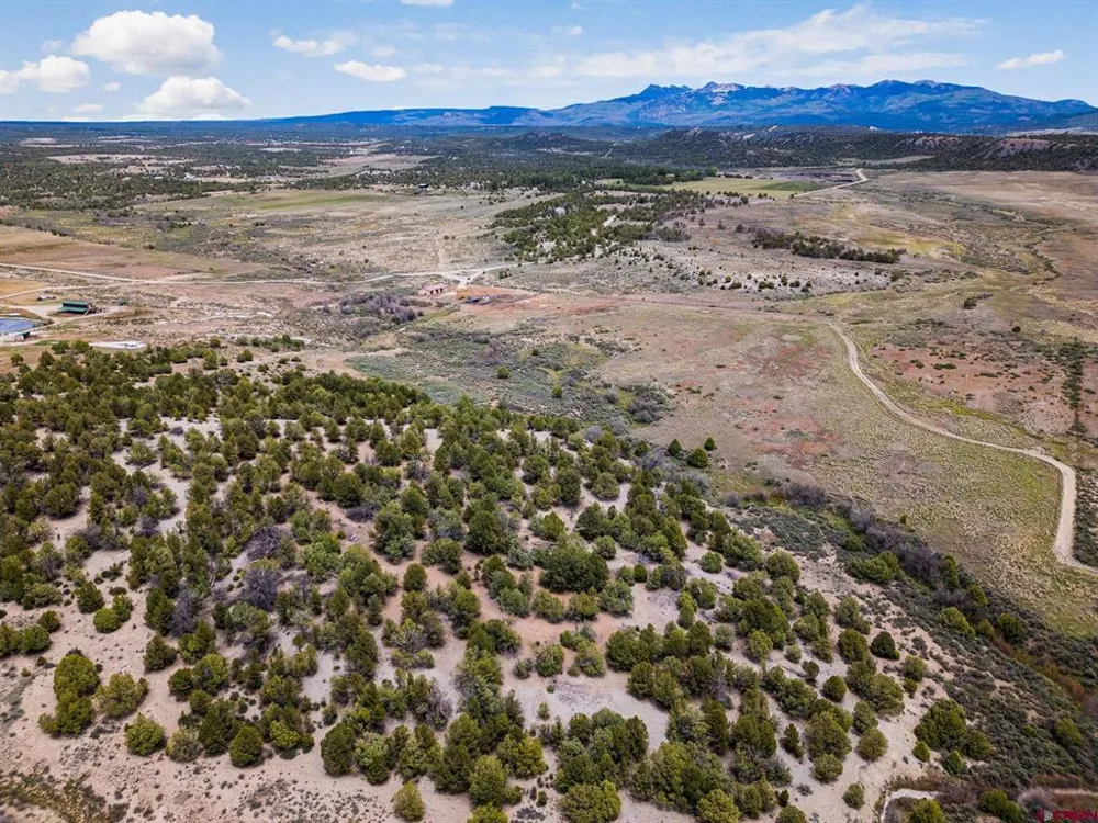 38550 Road J.5 Mancos, CO 81328