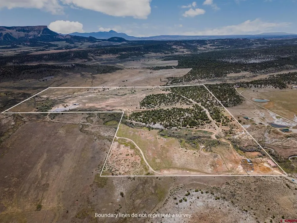 38550 Road J.5 Mancos, CO 81328