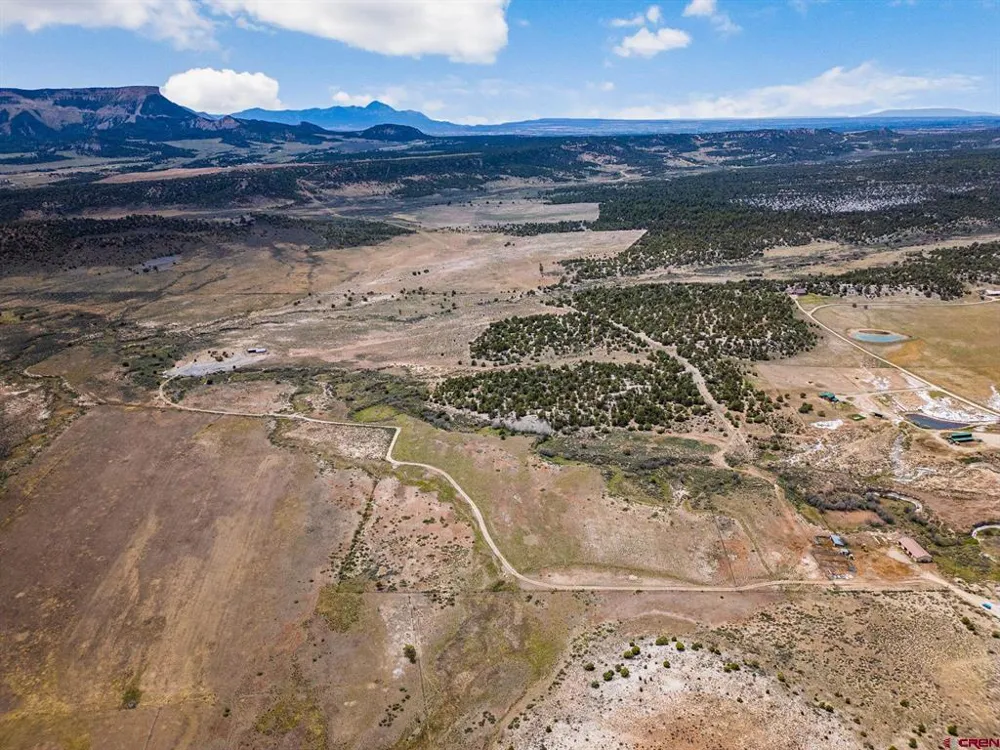 38550 Road J.5 Mancos, CO 81328