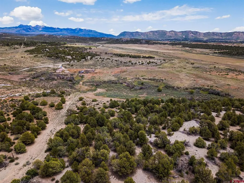 38550 Road J.5 Mancos, CO 81328