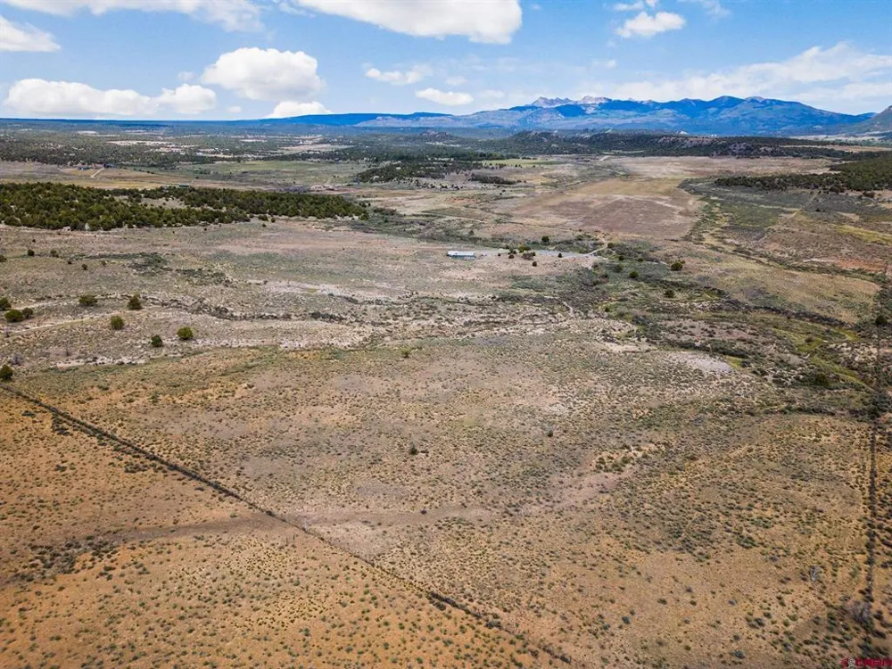 38550 Road J.5 Mancos, CO 81328