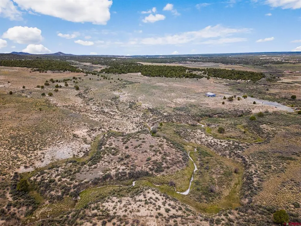 38550 Road J.5 Mancos, CO 81328