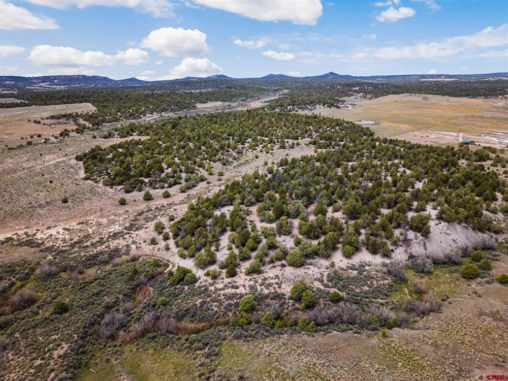 38550 Road J.5 Mancos, CO 81328