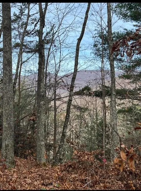 288 Frost Bottom Road