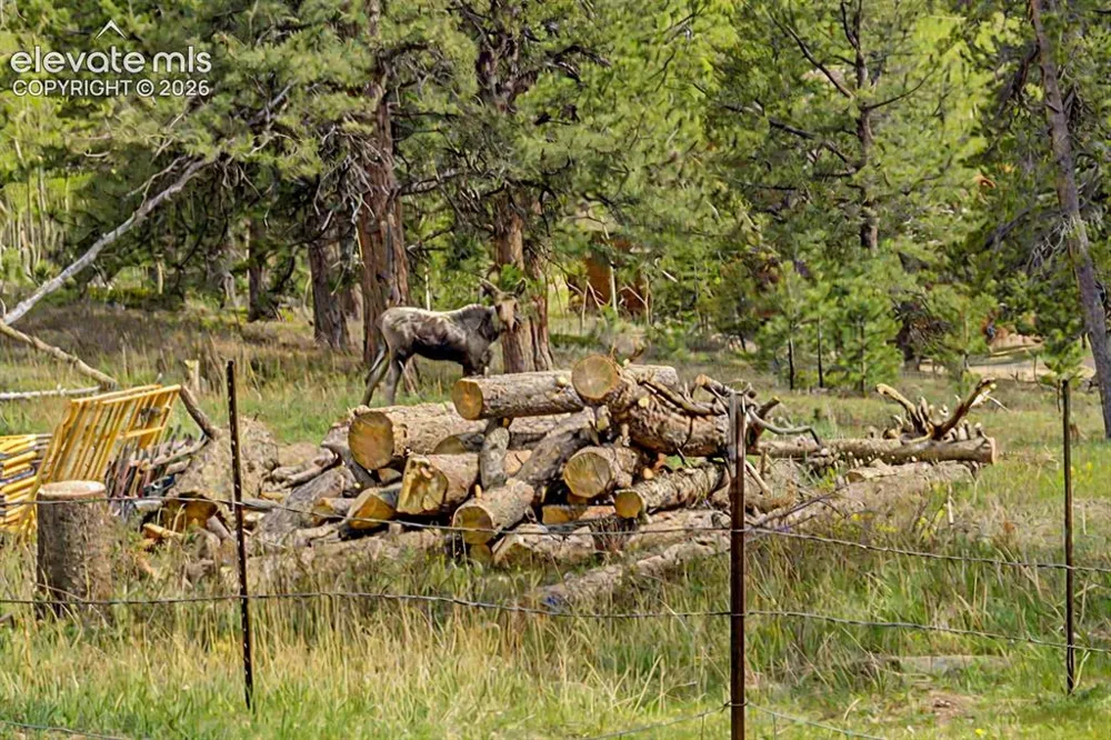 26 Howe Court Black Hawk, CO 80422