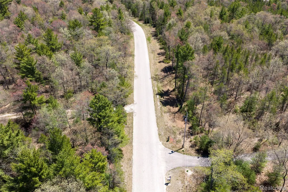 Scott Road Baldwin Township, MI 48730