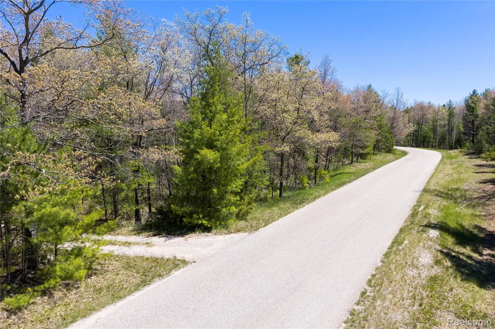Scott Road Baldwin Township, MI 48730