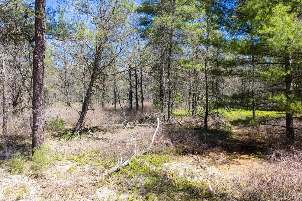 Scott Road Baldwin Township, MI 48730