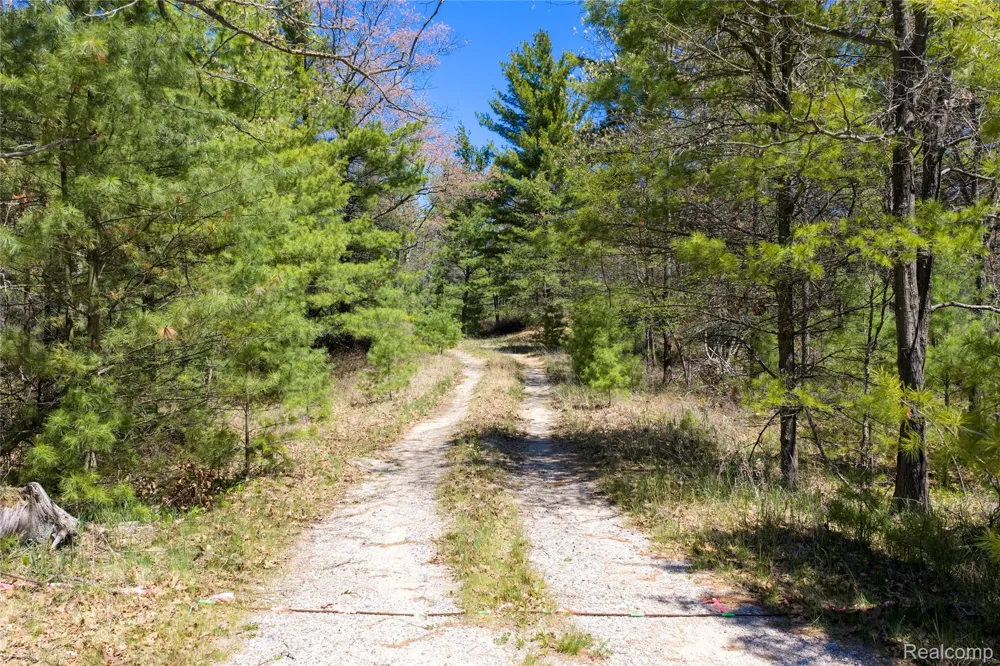 Scott Road Baldwin Township, MI 48730