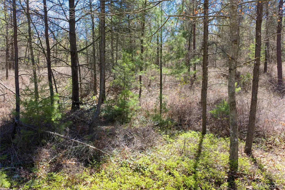 Scott Road Baldwin Township, MI 48730