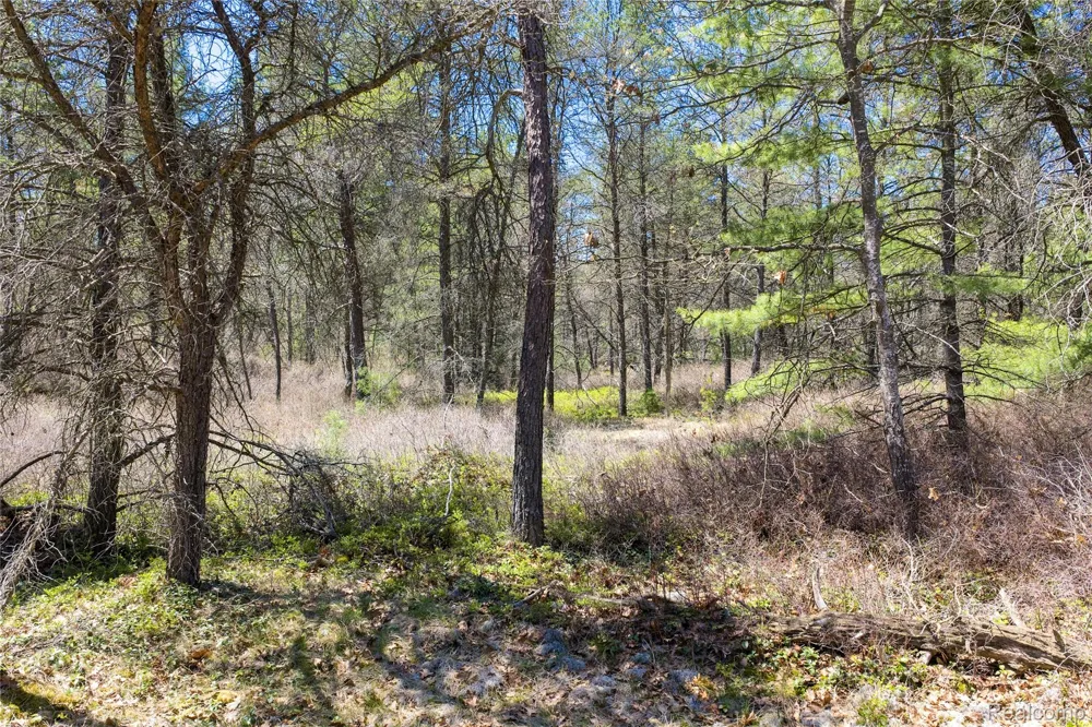 Scott Road Baldwin Township, MI 48730
