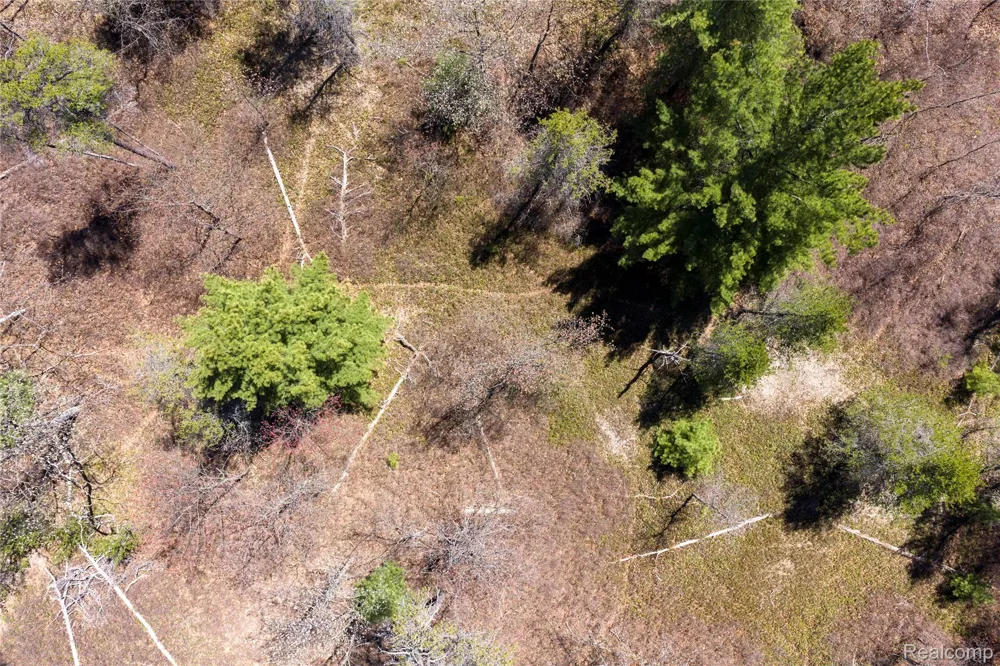 Scott Road Baldwin Township, MI 48730