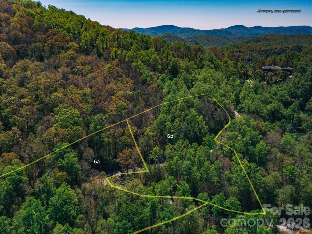 58 & 64 Flora Rose Trail #6A & 6B Asheville, NC 28803