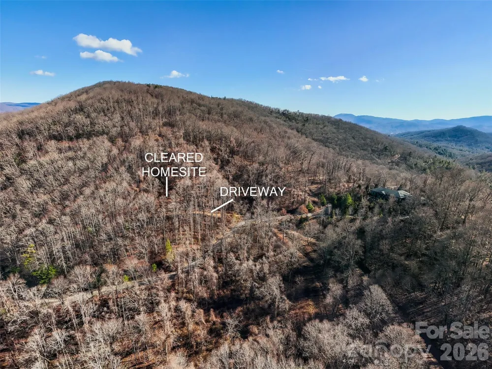 58 & 64 Flora Rose Trail #6A & 6B Asheville, NC 28803