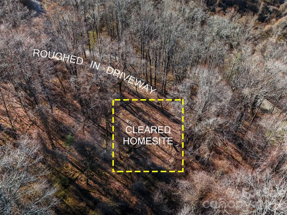 58 & 64 Flora Rose Trail #6A & 6B Asheville, NC 28803