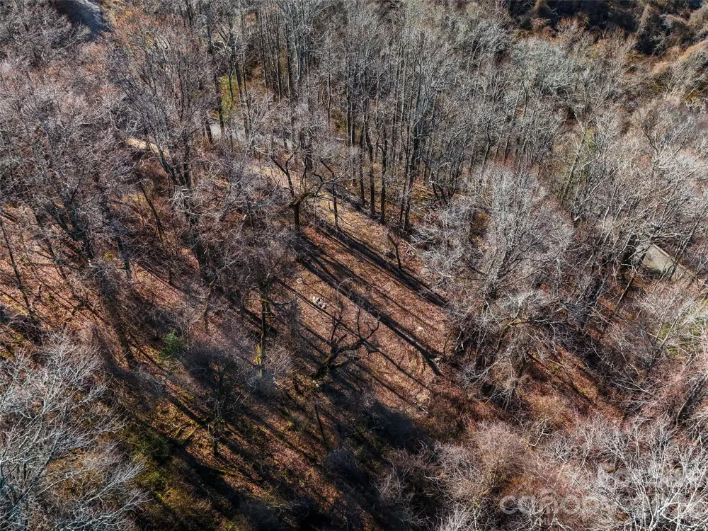 58 & 64 Flora Rose Trail #6A & 6B Asheville, NC 28803