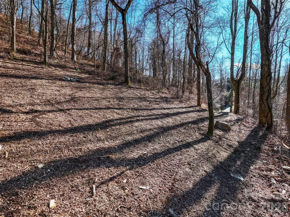 58 & 64 Flora Rose Trail #6A & 6B Asheville, NC 28803