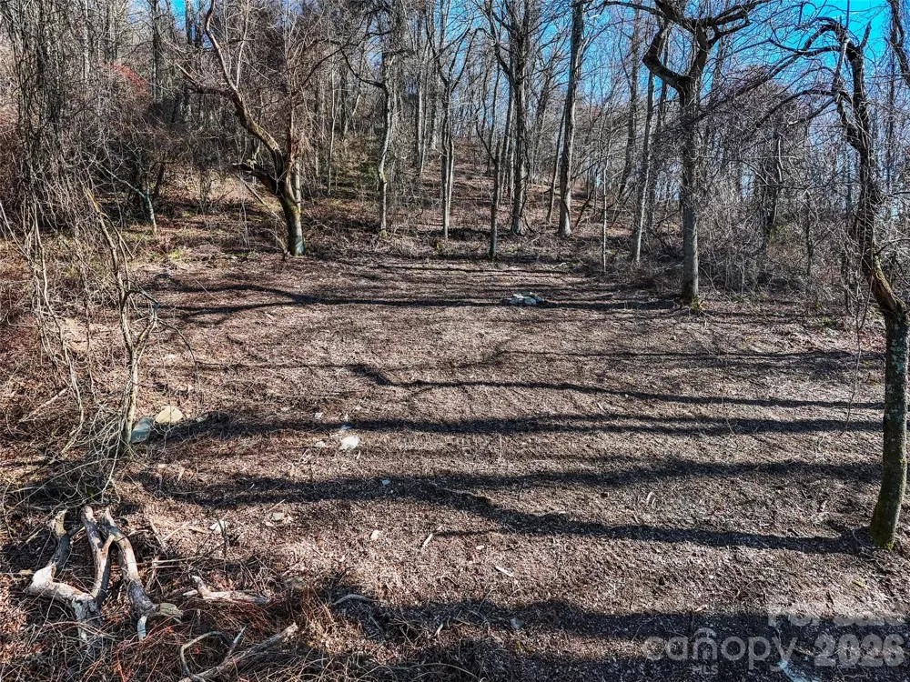 58 & 64 Flora Rose Trail #6A & 6B Asheville, NC 28803