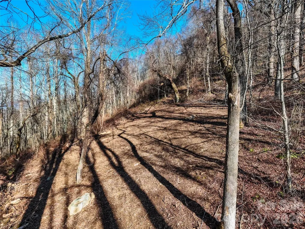 58 & 64 Flora Rose Trail #6A & 6B Asheville, NC 28803