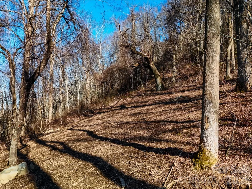 58 & 64 Flora Rose Trail #6A & 6B Asheville, NC 28803