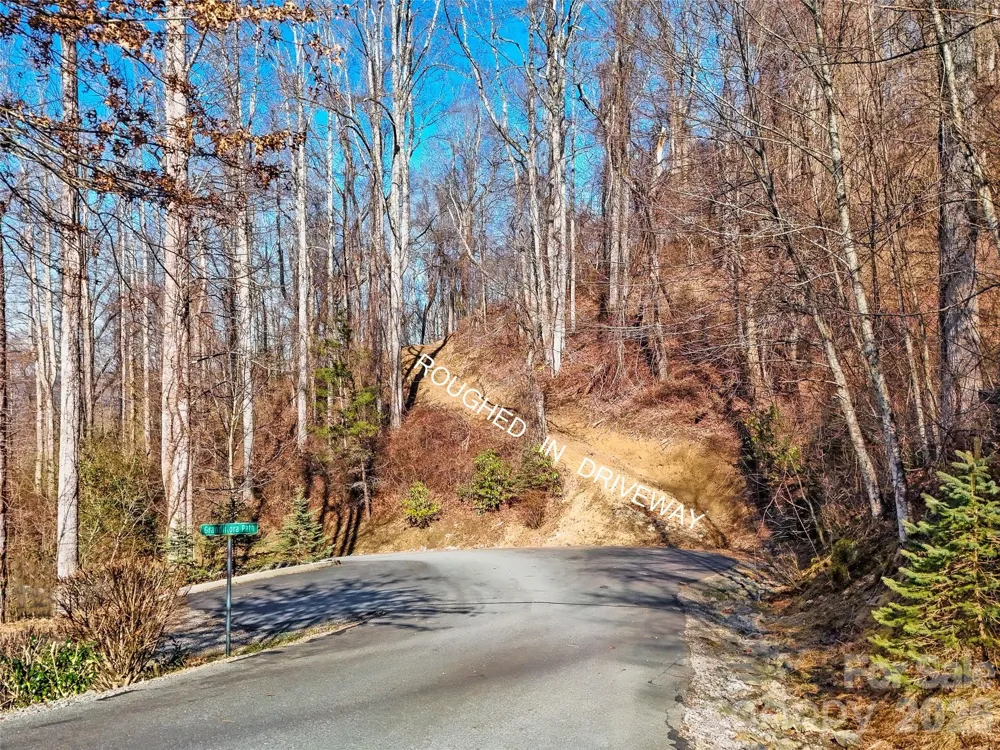 58 & 64 Flora Rose Trail #6A & 6B Asheville, NC 28803