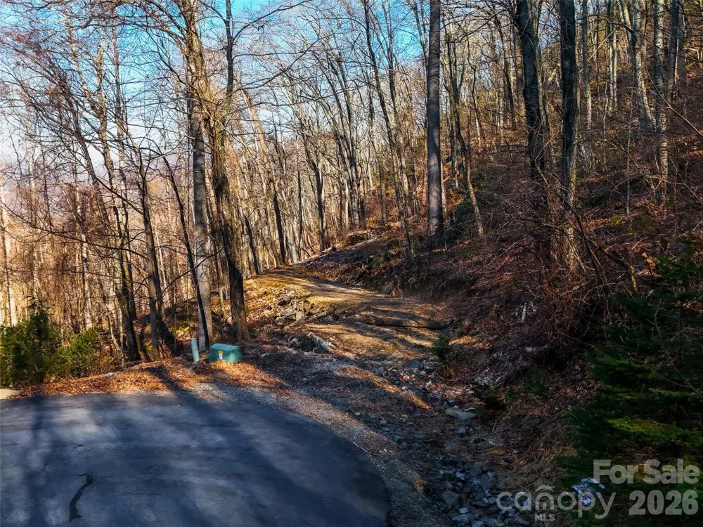 58 & 64 Flora Rose Trail #6A & 6B Asheville, NC 28803