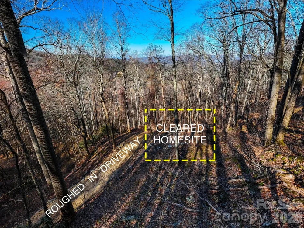 58 & 64 Flora Rose Trail #6A & 6B Asheville, NC 28803