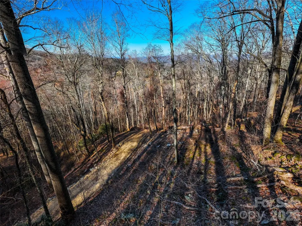 58 & 64 Flora Rose Trail #6A & 6B Asheville, NC 28803