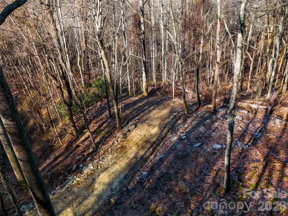 58 & 64 Flora Rose Trail #6A & 6B Asheville, NC 28803