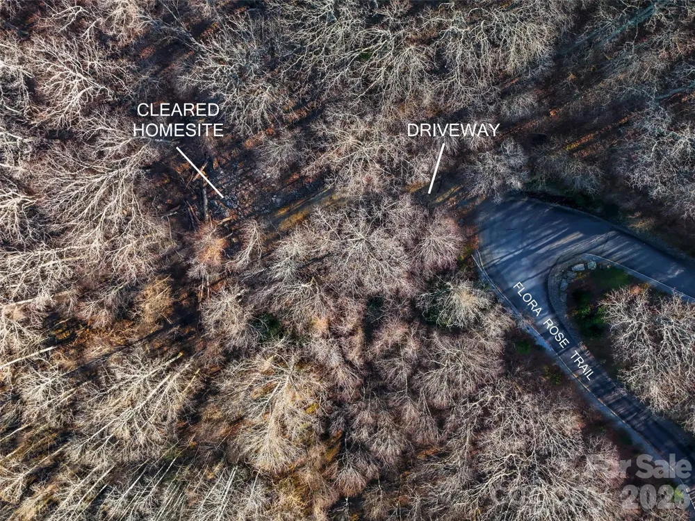 58 & 64 Flora Rose Trail #6A & 6B Asheville, NC 28803