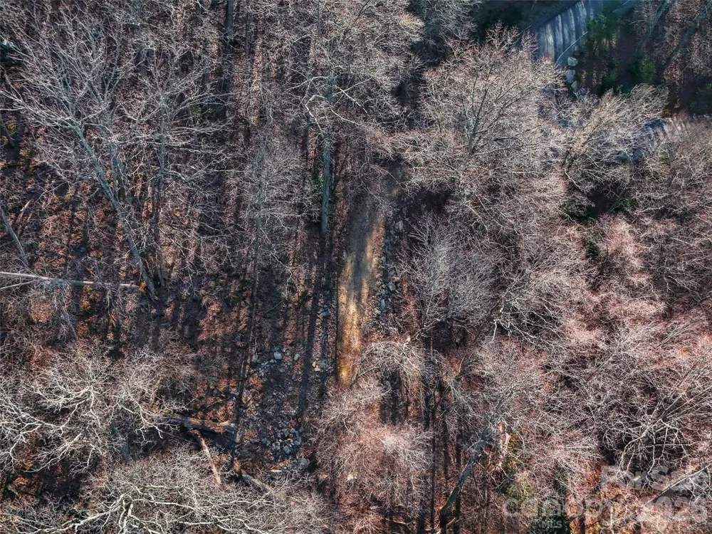 58 & 64 Flora Rose Trail #6A & 6B Asheville, NC 28803
