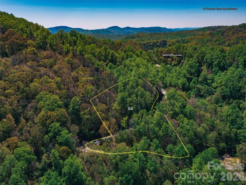 58 & 64 Flora Rose Trail #6A & 6B Asheville, NC 28803