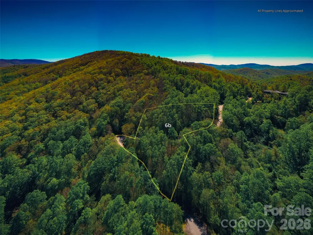 58 & 64 Flora Rose Trail #6A & 6B Asheville, NC 28803
