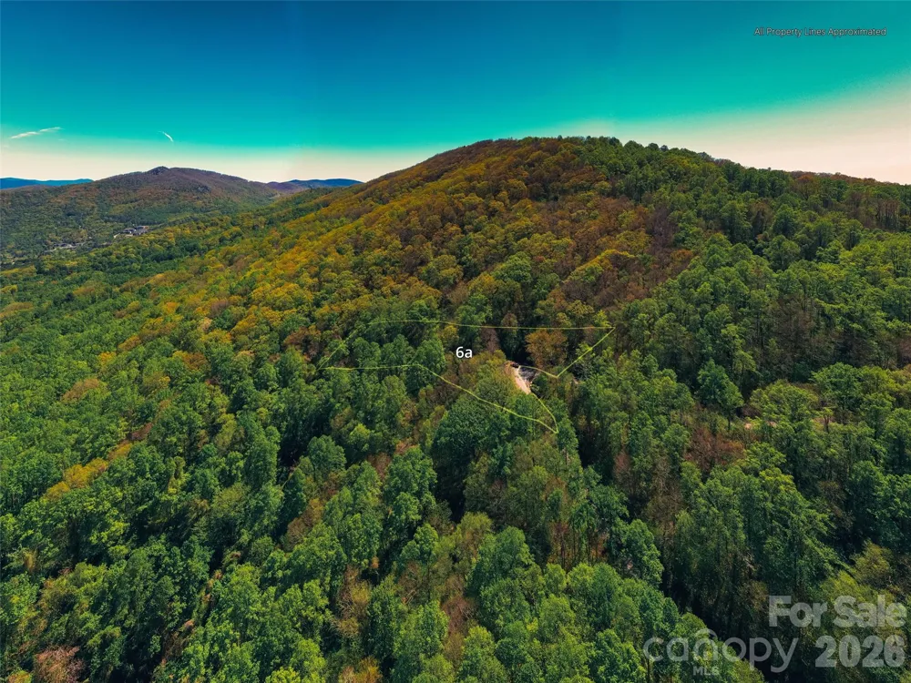 58 & 64 Flora Rose Trail #6A & 6B Asheville, NC 28803