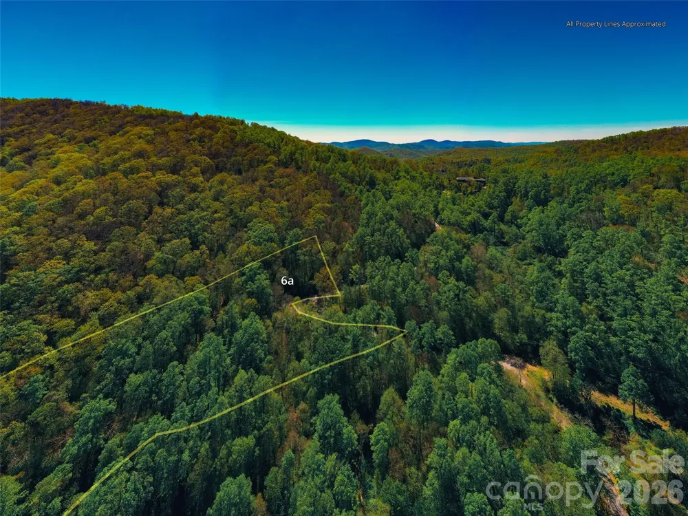 58 & 64 Flora Rose Trail #6A & 6B Asheville, NC 28803