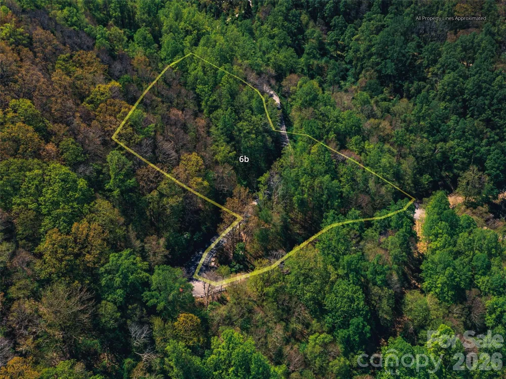 58 & 64 Flora Rose Trail #6A & 6B Asheville, NC 28803