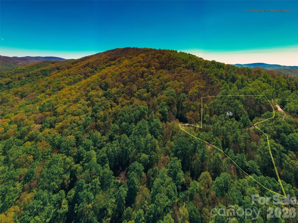 58 & 64 Flora Rose Trail #6A & 6B Asheville, NC 28803