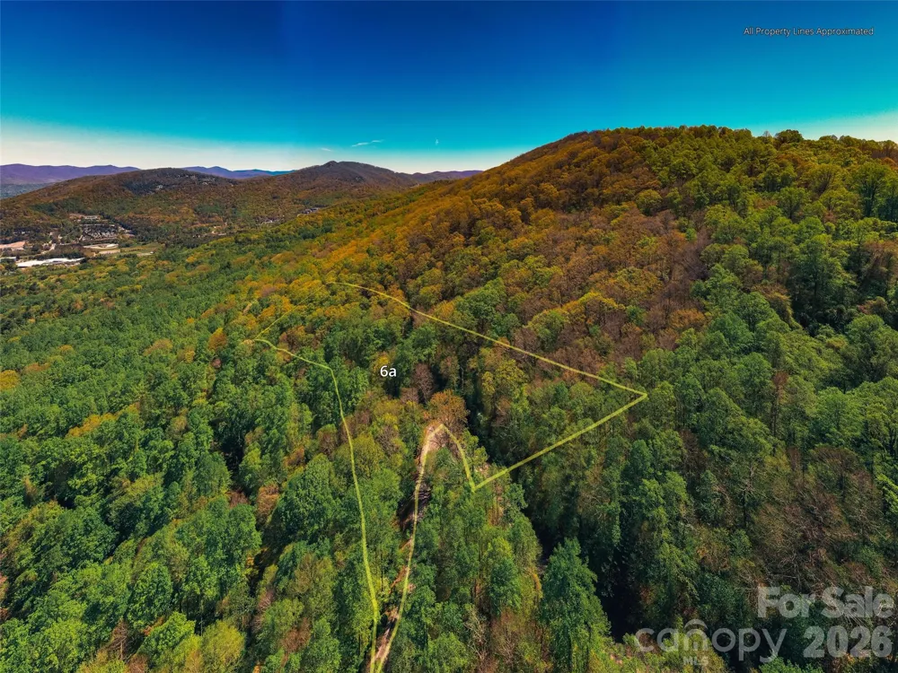 58 & 64 Flora Rose Trail #6A & 6B Asheville, NC 28803