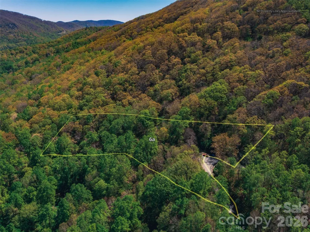 58 & 64 Flora Rose Trail #6A & 6B Asheville, NC 28803
