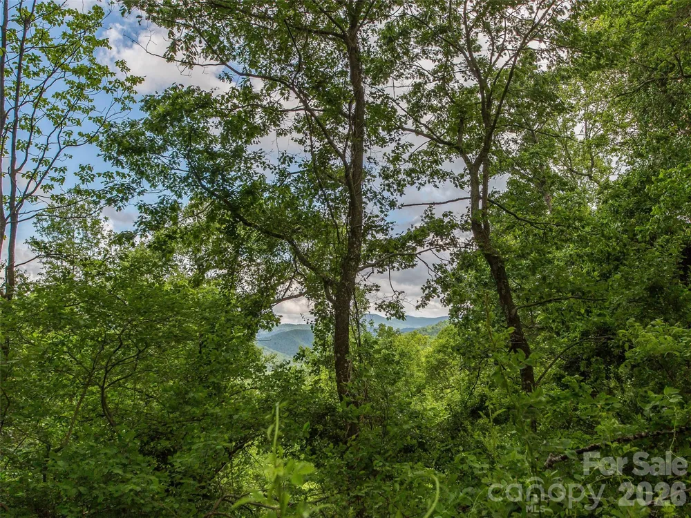 58 & 64 Flora Rose Trail #6A & 6B Asheville, NC 28803