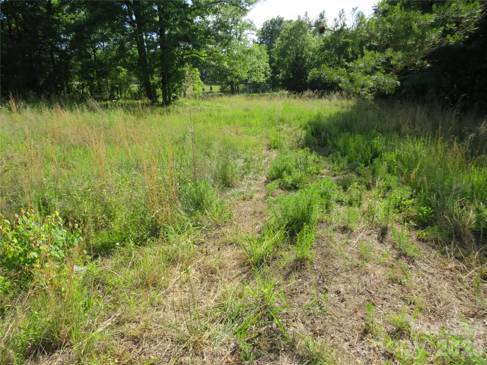 0 Blue Sapphire Lane Rutherfordton, NC 28139