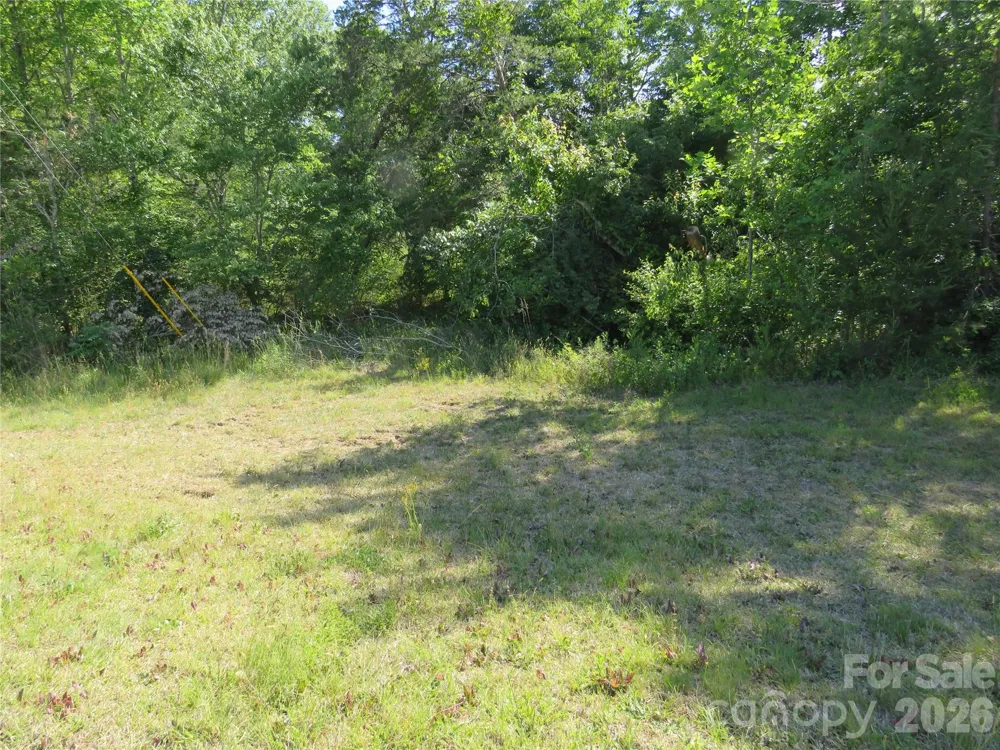 0 Blue Sapphire Lane Rutherfordton, NC 28139