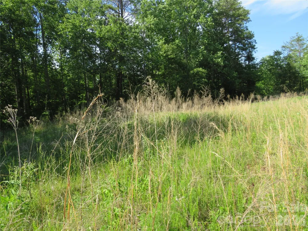 0 Blue Sapphire Lane Rutherfordton, NC 28139