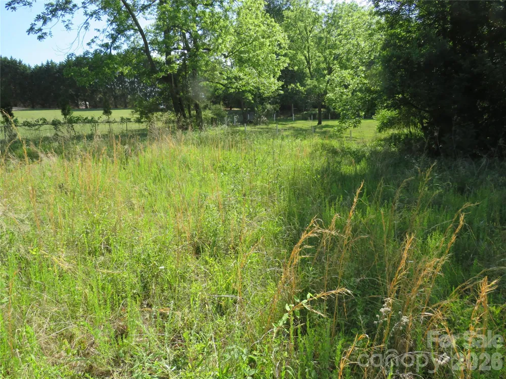 0 Blue Sapphire Lane Rutherfordton, NC 28139