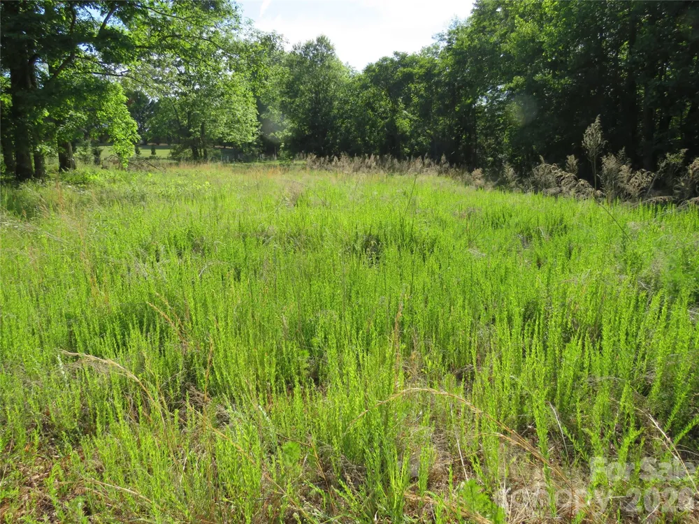 0 Blue Sapphire Lane Rutherfordton, NC 28139