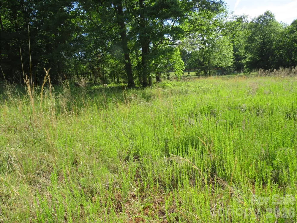 0 Blue Sapphire Lane Rutherfordton, NC 28139