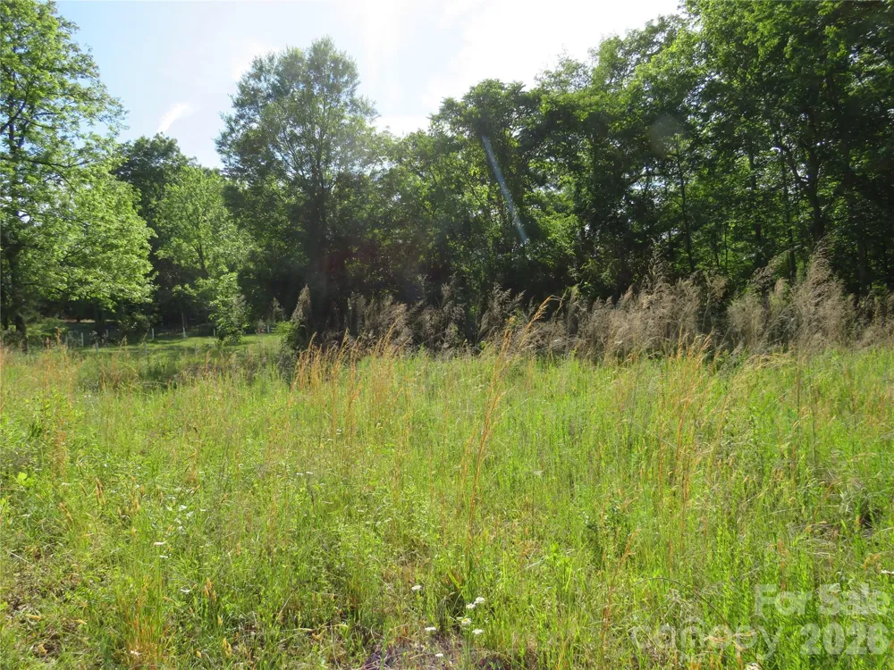 0 Blue Sapphire Lane Rutherfordton, NC 28139