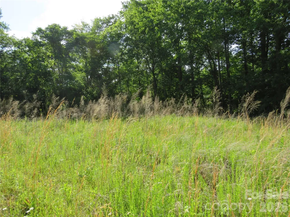 0 Blue Sapphire Lane Rutherfordton, NC 28139