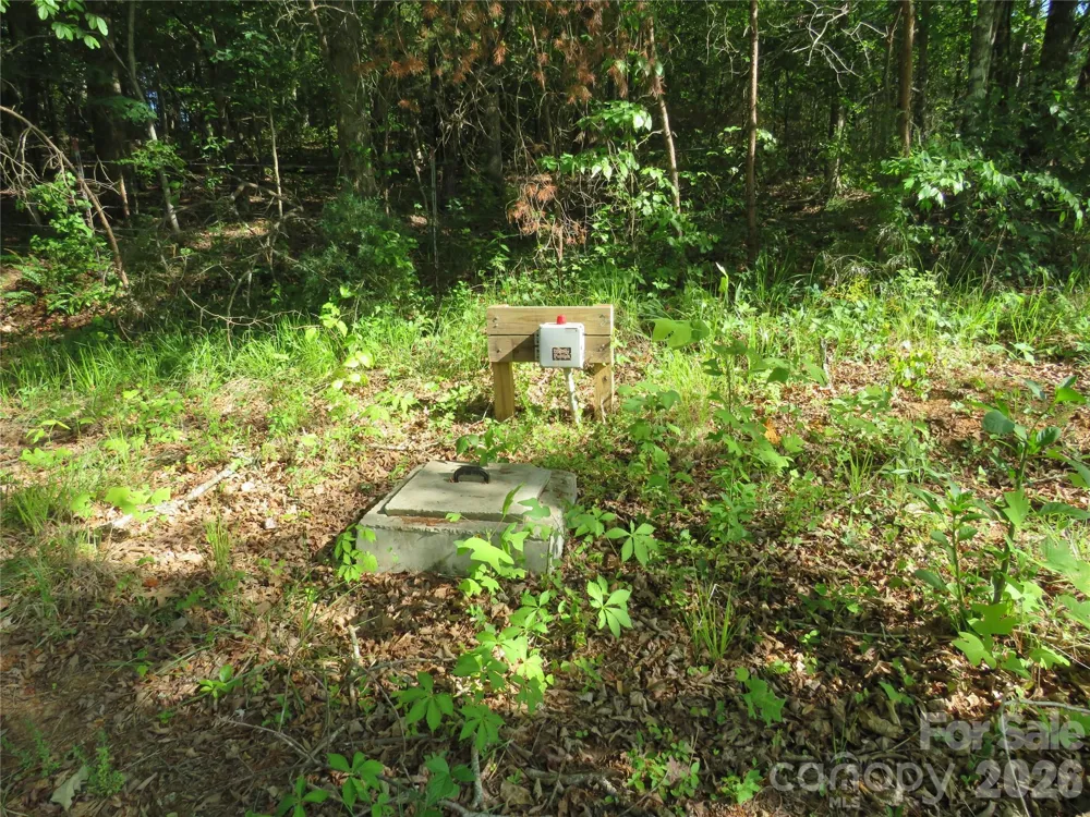 0 Blue Sapphire Lane Rutherfordton, NC 28139