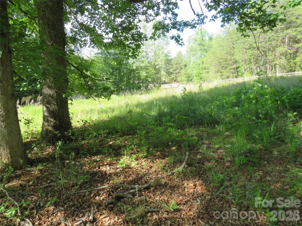 0 Blue Sapphire Lane Rutherfordton, NC 28139